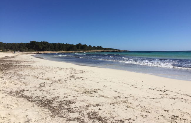 BJ Apartamentos Club Sa Coma - Foto 34