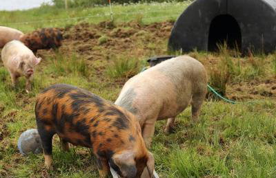 The Captain's Place - Isle of Skye - Foto 33