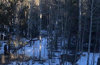 How would it feel to live close to the wildlife in a peaceful cozy cabin - Foto 13