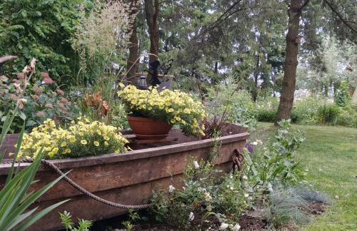 Dziki brzeg Jezioraka - Foto 29