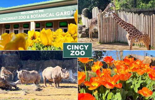 Cozy Cottage In The Heart Of Hyde Park 1 Bedroom Home by RedAwning - Photo 59