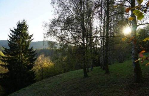 Ruhiges Ferienhaus am Waldrand mit Sauna und Kamin - Hellaberg II - Foto 30