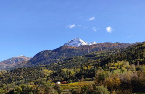 Au Fond du Bourg - Foto 35
