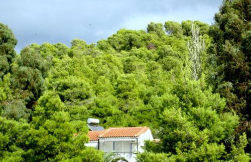 Heracles Guesthouse - Photo 64