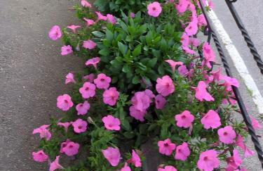 Schwarzwaldferienwohnung Oberle - Foto 27