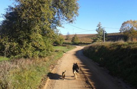 Pod tulipanem nad jeziorem - Foto 76