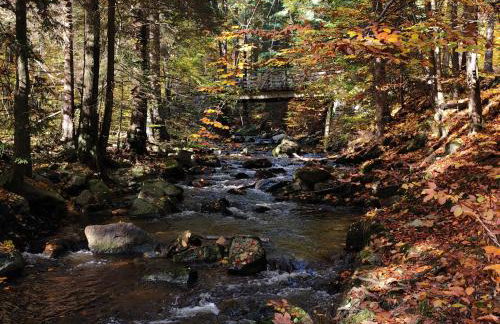 Somewhere Between Apartments - Foto 46