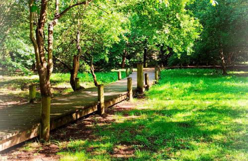 PIEDRAS DE ASTURIAS - Foto 32