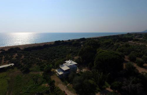 Ktima Βilioni - Foto 51