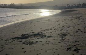 Das blaue Haus - Foto 27