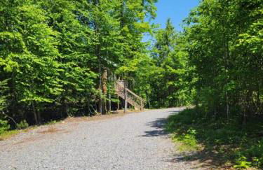 Treehouses at Lake Mountain Manor - Foto 15