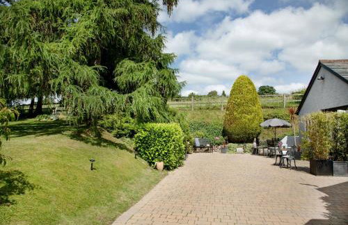 Birch House Studio - Foto 30