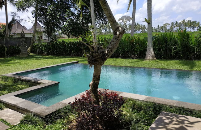 Anggira Villa Ubud - Photo 38