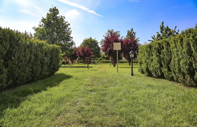 Agriturismo Il Brugnolo - Foto 11