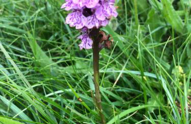 Weardale Cottage - Photo 22