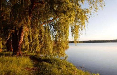 Stunning Apartment In Warin With Sauna - Foto 16