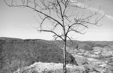 Ferienwohnung - Am Löwenpfad - Bad Ditzenbach-Gosbach - Foto 17