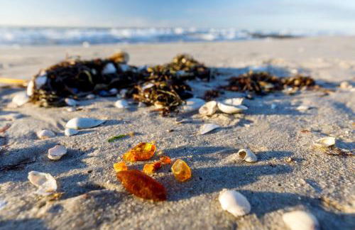 Inselzeit Comfort Suites SELLIN - Foto 22