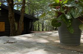 Woods Etna Chalet - Foto 60