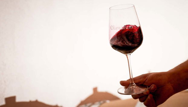 Tour in Canalejas de Peñafiel - Photo 4