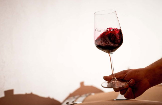 Visita alle cantine Olimarum - Foto 4