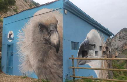 Peñas de Arnedillo - Foto 23