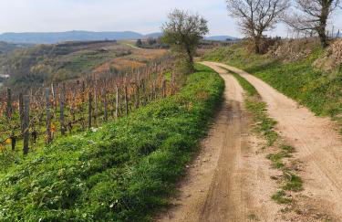 le stockholm - Foto 45