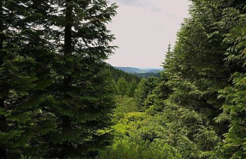 Ferienhaus „Schlupfwinkel“, kostenloser Parkplatz, Vollausstattung - Foto 19