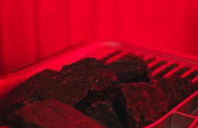 Leśne Zacisze - dom na wsi z grotą solną, sauną oraz balią ogrodową - Foto 22