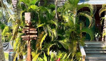 Island Paradise Awaits You - Foto 3