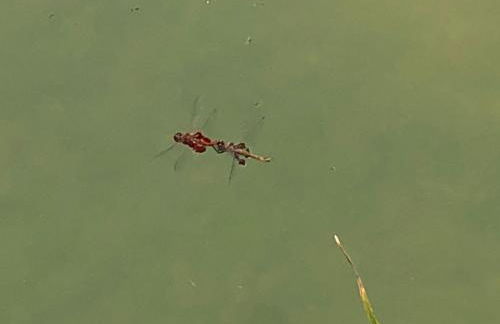 Fishers Of Men Ranch Home - Photo 58