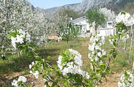 Mandalina HR Luxury Villa with Private Pool, Tennis Court and Boccie Alley - Foto 26