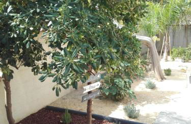 Appartement Pérols Centre - Photo 16