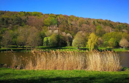 Ferienwohnung Schnegge-Eck direkt am Klingbachrad- und Spazierweg - Foto 13