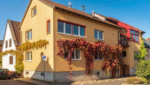 Unter den Reben - Foto 2