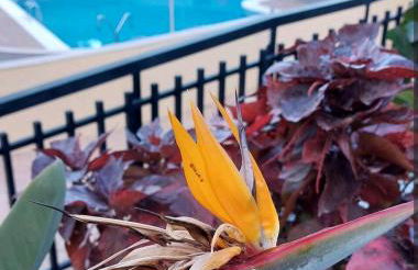 Balcón Atlantida - Foto 25