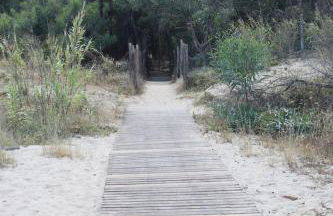Beach House Vaccarizzo - Foto 27