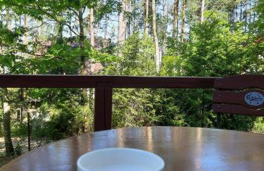 Domek w Borach Tucholskich - Wycinki - Foto 58