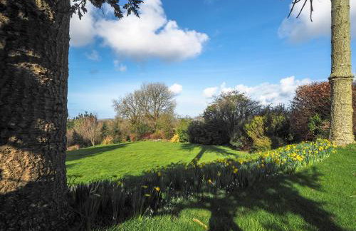 Y Gegin Fach Cardigan - Photo 21