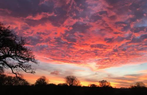 Swallows Nest - Photo 37