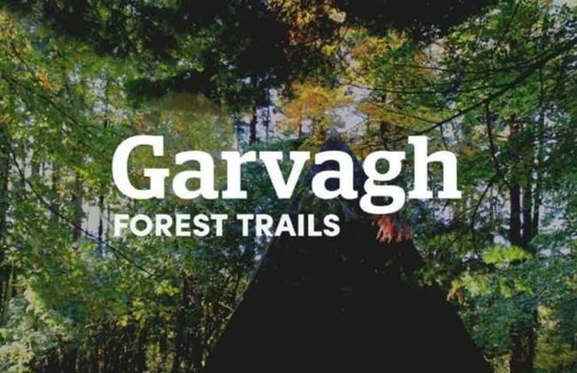 Forest View Cottage - Private Hot Tub - Foto 24