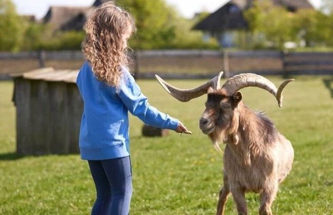 Ferienhaus im Van der Valk Resort Linstow - Photo 13