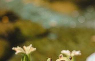 Agriturismo Mon Chéri - Foto 56