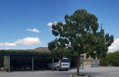 Cueva el Monteron - Foto 36