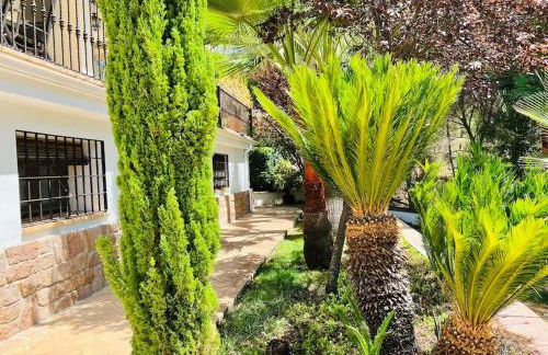 Villa ALJARAL, Espectacular,piscina,chimenea, climatización, wifi - Foto 38