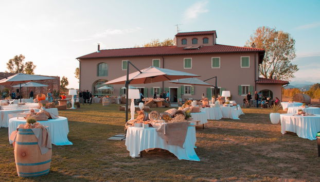 Fattoria L'Olmetto - Foto 2, Imagen principal