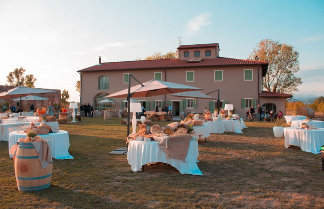 Fattoria L'Olmetto - Foto 1