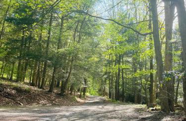 Hidden River Lodge at Hawk Mountain - Foto 52