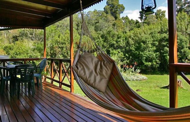 Forest Edge - Foto 38