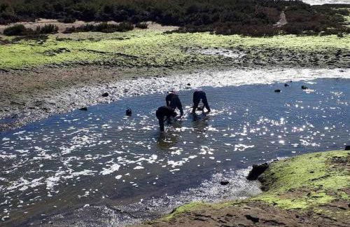 Ria Formosa Pineview - Foto 36